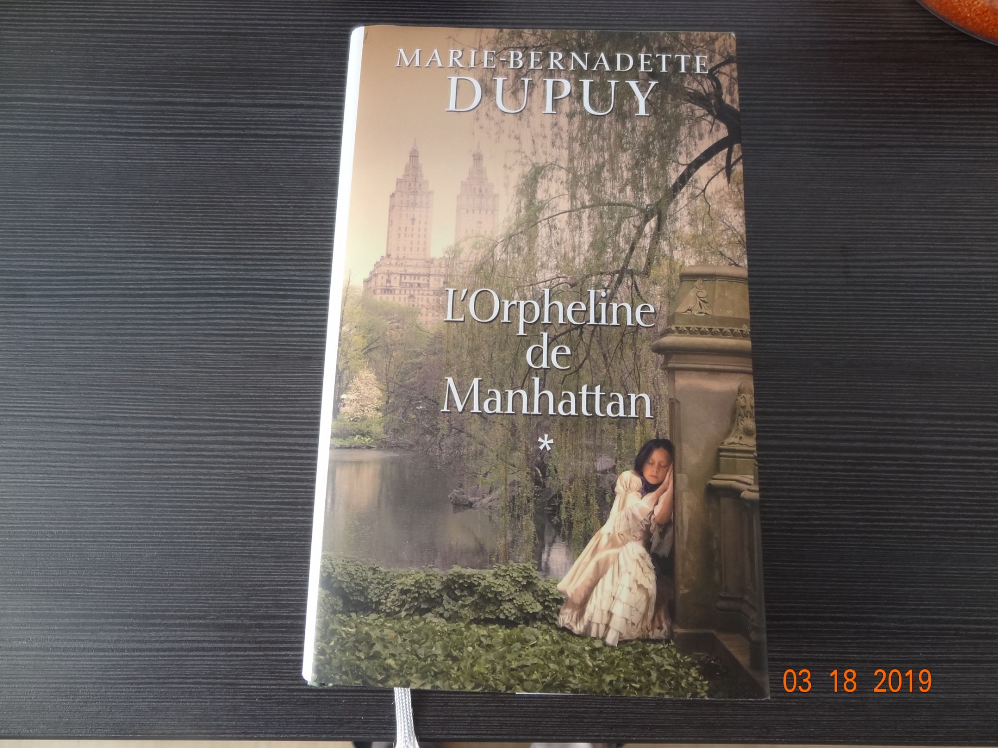 L'ORPHELINE DE MANHATTAN