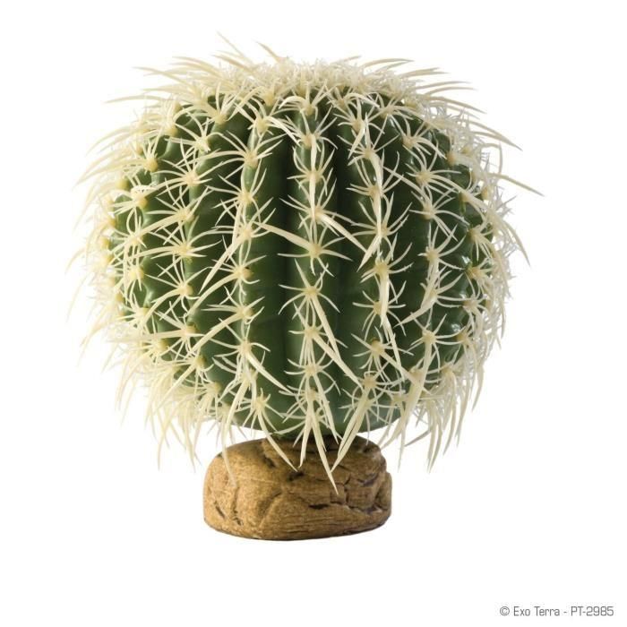 Comparer les prix de Decoration Cactus Oursin