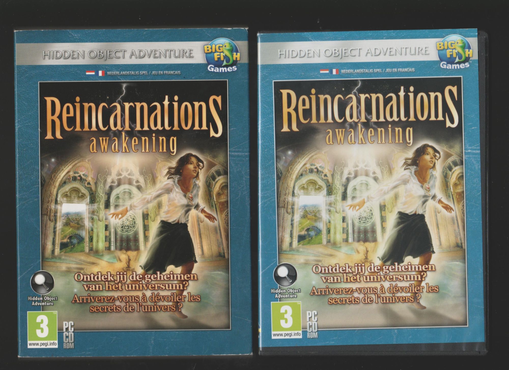 Reincarnations Pc