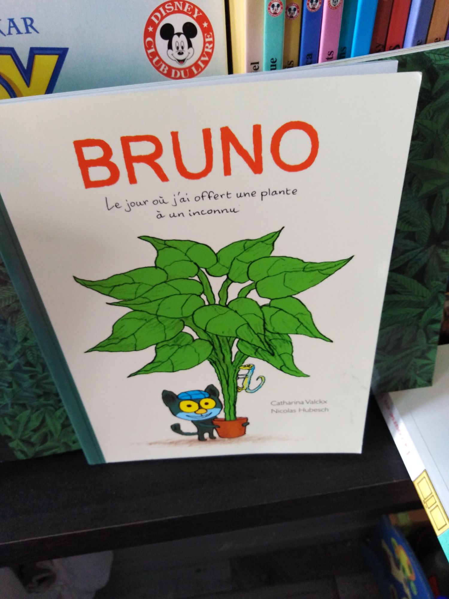 bruno