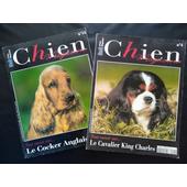 Magasin Chiens Pas Cher Ou Doccasion Sur Rakuten