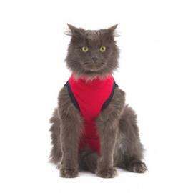 Gilet De Protection Pour Chat Xxs Animalerie Rakuten