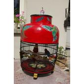 Cage A Oiseaux Decorative Pas Cher Ou Doccasion Sur Rakuten