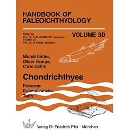 Chondrichthyes: Paleozoic Elasmobranchii, Teeth - Unknown
