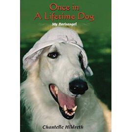 Once in a Lifetime Dog: My Borisangel - Chantelle Hildreth