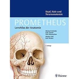 Kopf, Hals und Neuroanatomie (Prometheus: LernAtlas der Anatomie)