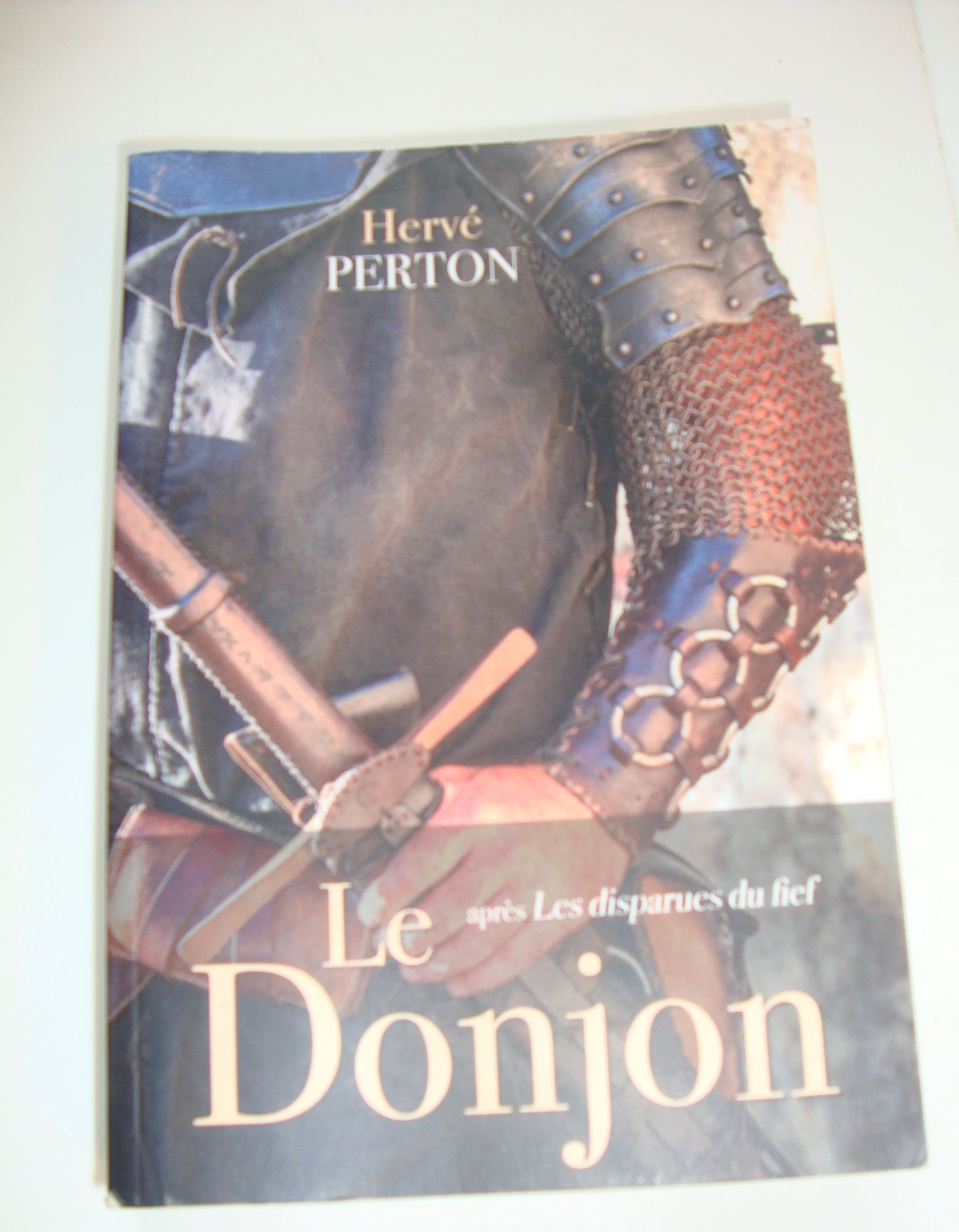 LE DONJON APRES LES DISPARUES DU FIEF