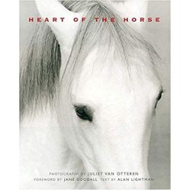 HEART OF THE HORSE - Alan Lightman