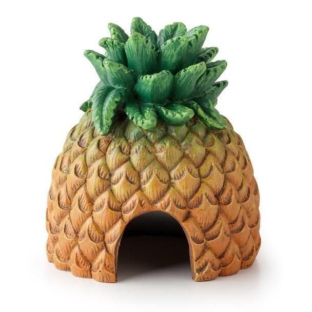 Meilleurs prix pour Exo Terra Cachette D'ananas - 12.5 X 12 X 14 Cm