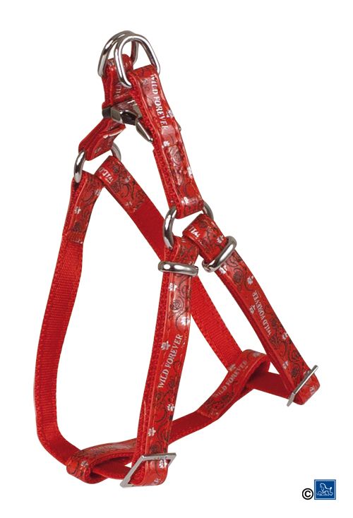 Meilleurs prix pour Harnais Réglable Envy Forever Rouge - T2 : 42 À 60 X 15mm