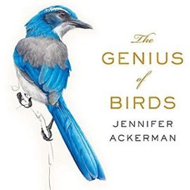 The Genius of Birds - Jennifer Ackerman