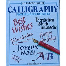 Calligraphy (Usborne Guides) - C. Evans