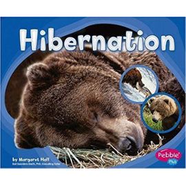 Hibernation (Patterns in Nature) - Unknown