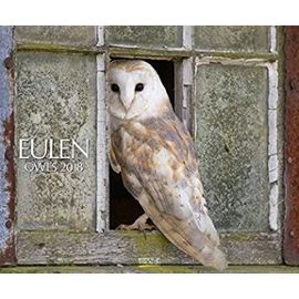 Eulen 2018. PhotoArt Classic Kalender - Unknown