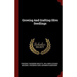 Growing and Grafting Olive Seedlings - Bioletti, Frederic Theodore