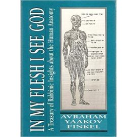 In My Flesh I See God: A Treasury of Rabbinic Insights about the Human Anatomy - Avraham Yaakov Finkel
