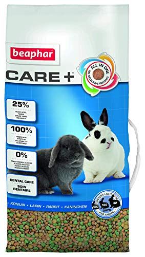 Meilleurs prix pour Care+ Usage Magasin, Lapin - 10 Kg