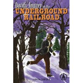 David's Journey on the Underground Railroad (Cover-To-Cover Books) - Linda Sibley