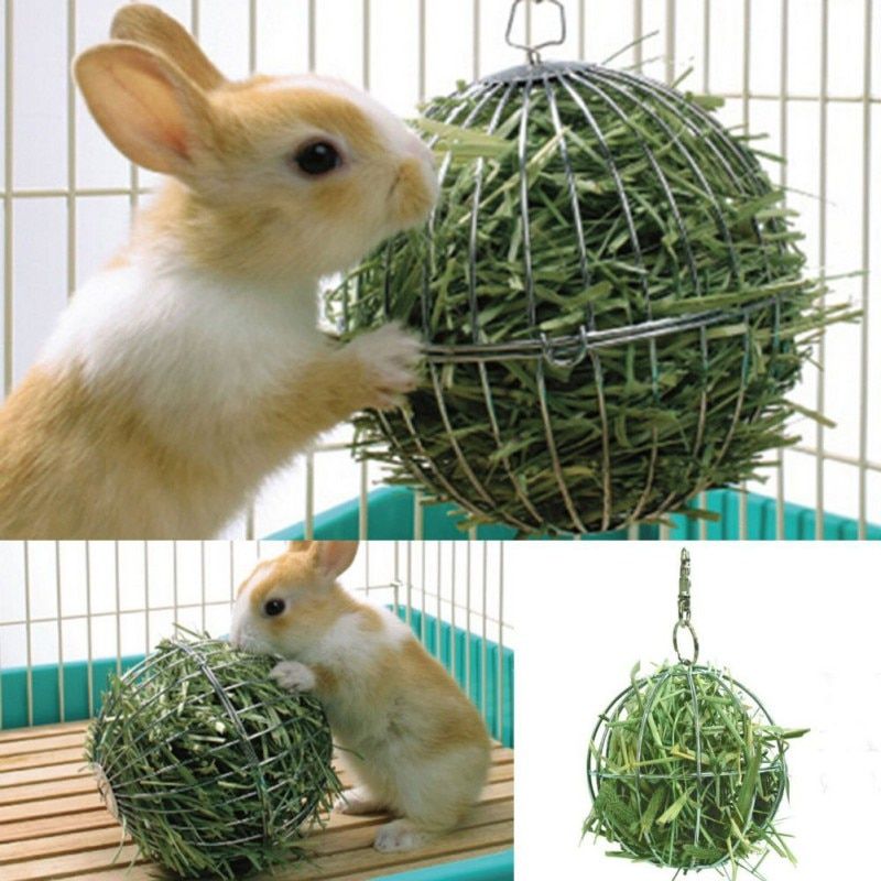 En Acier Inoxydable Suspendus Lapin Rat L'exercice Hamster Rond Petit Creux Guinee Foin D'alimentation Sphere Jouets