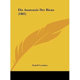 Die Anatomie Der Biene (1885) - Rudolf Leuckart