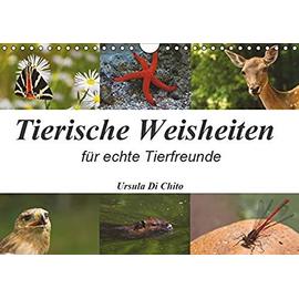 Tierische Weisheiten (Wandkalender 2019 DIN A4 quer): Ein Kalender mit Zitaten für Tierfreunde (Monatskalender, 14 Seiten ) - Unknown