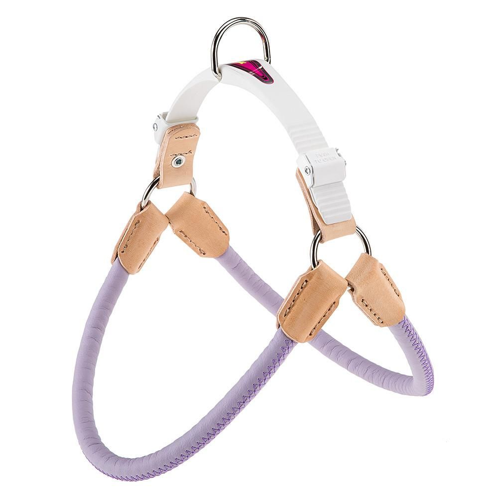 Meilleurs prix pour Agila Derby 5 Harness Purple