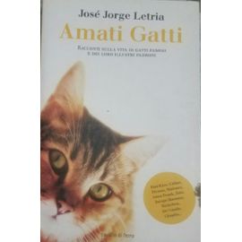 Amati Gatti - José Jorge Letria