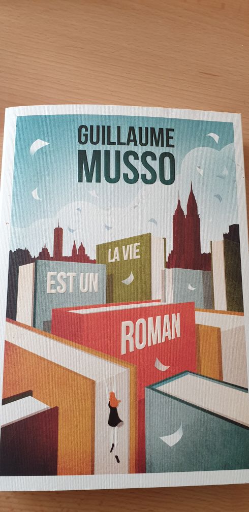 la vie est un roman