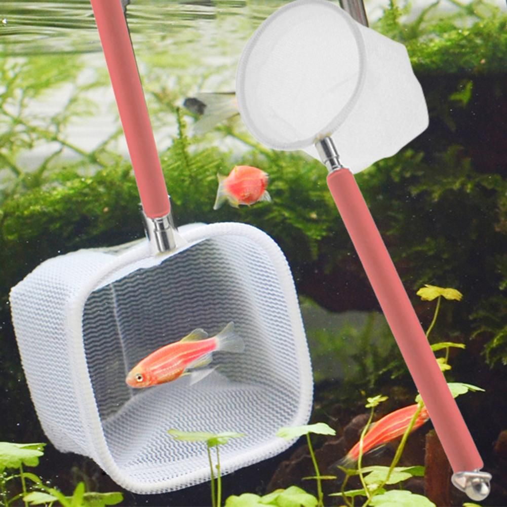 Xm Filet D'aquarium Filet D'écuissage De Crevettes De Poissons Maille Extensible Poignée En Acier Inoxydable