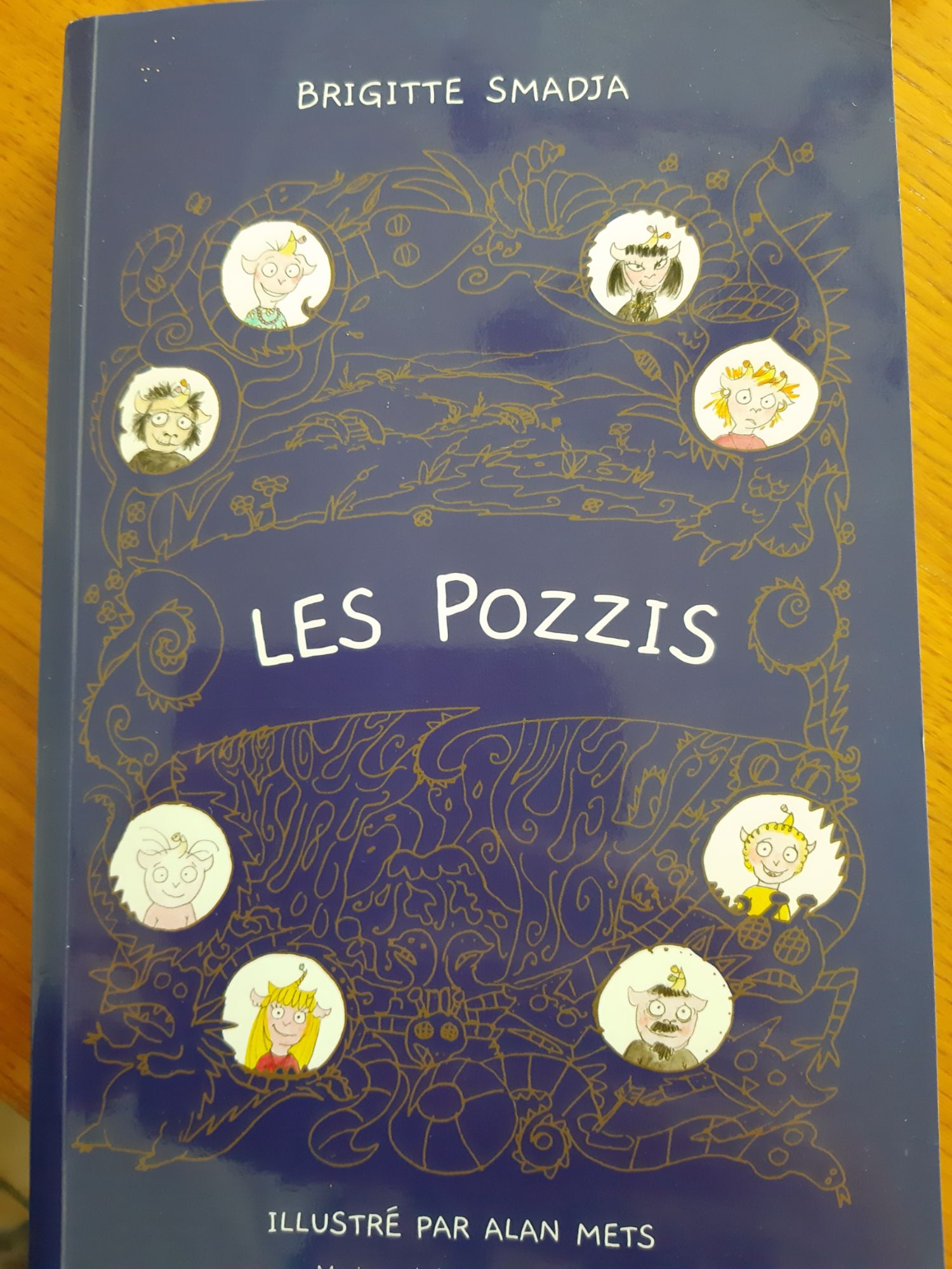 LES POZZIS