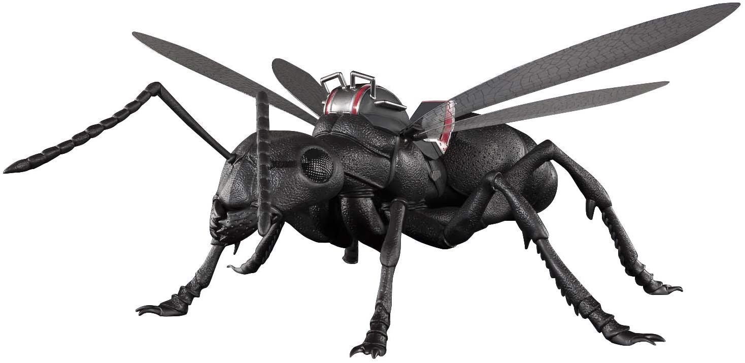 S.H.Figuarts Ant-Man & Wasp (Ant-Man & Wasp) Approx. 250mm Pvc & Abs Painted Fine Art Figure [Import Japonais]