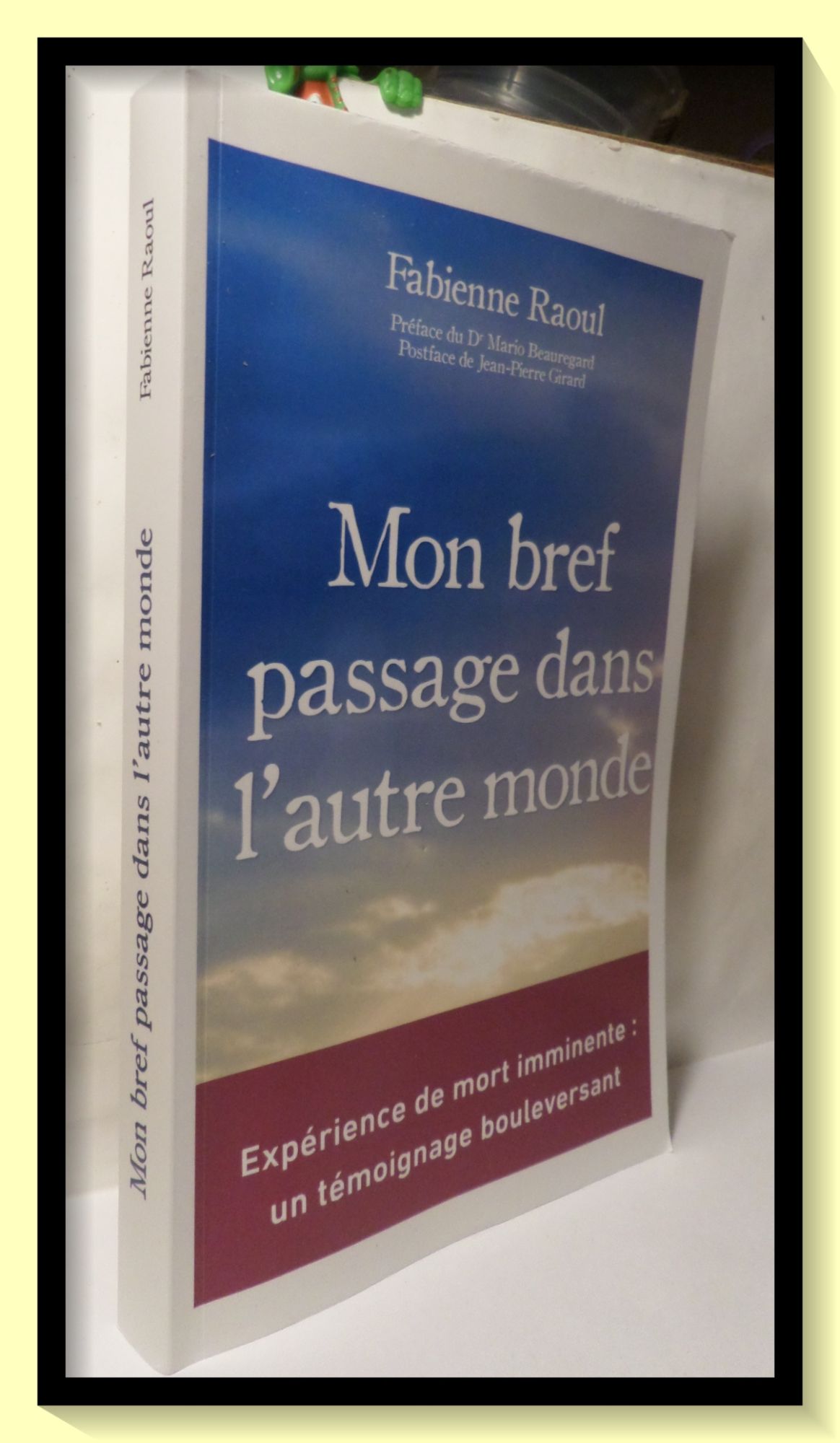 Mon bref passage dans l'autre monde