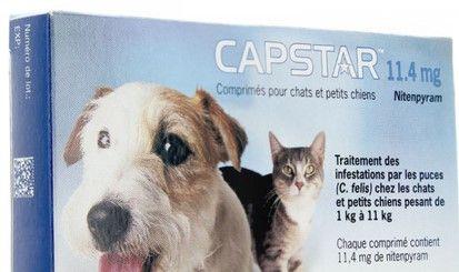 Achat Comprime Anti Puce Pour Chien Pas Cher Ou D Occasion Rakuten