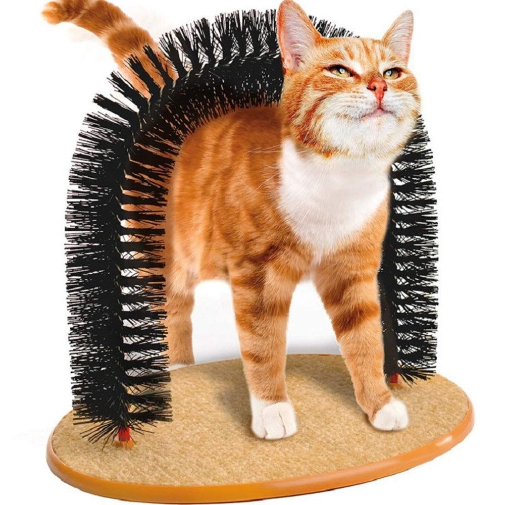 Massage Pour Chat, Démangeaisons, Outils Pour Cheveux De Chaton, Brosse De Soins De Beauté, Arc En Poils, Auto-Grattoir Et Masseur, Poteau De Brossage, Réduit La Perte Et Les Boules De Poils