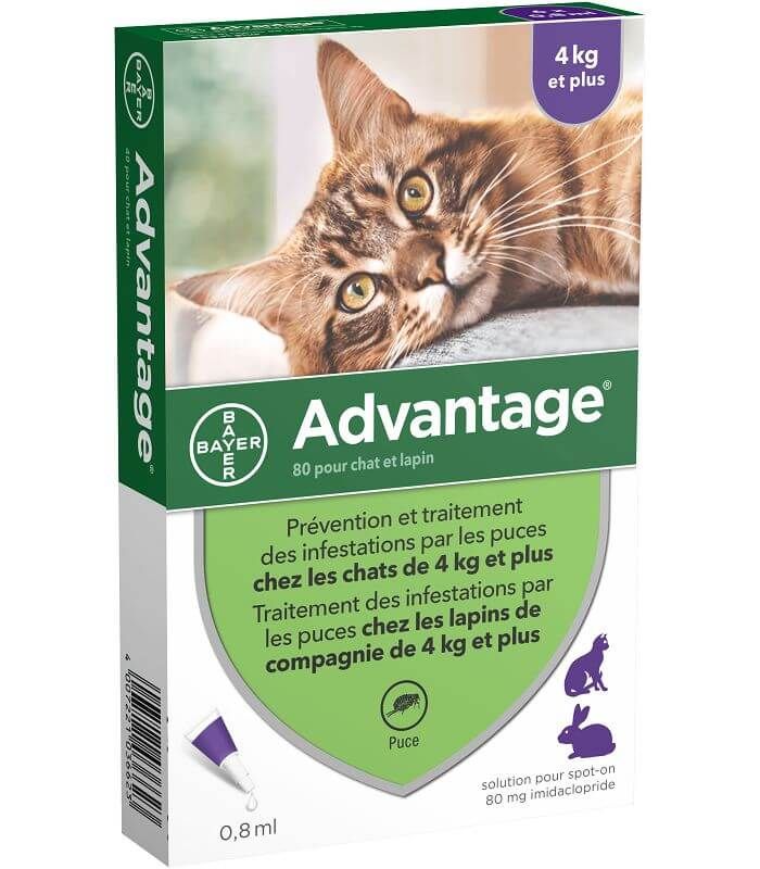 Solution Advantage 80 Chat Et Lapin 6 Pip.