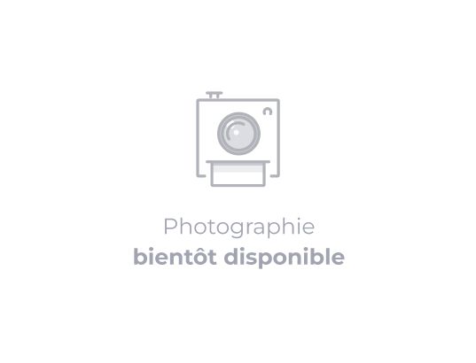 Erard 1905 convertisseur audio Neuf - vue 2