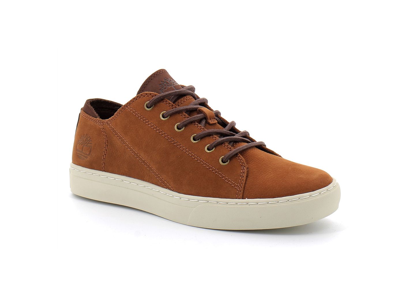 Baskets basses Timberland ADV 2.0 CUPSOLE MODERN OX