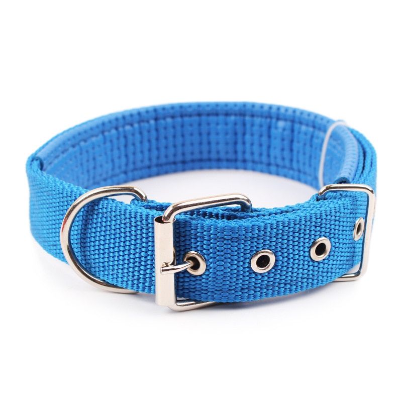 Blue-L -Colliers De Chien Solides Collier De Chien En Nylon Pour Petits Chiens Moyens Grands Teddy Keji Pitbull Bouledogue Beagle