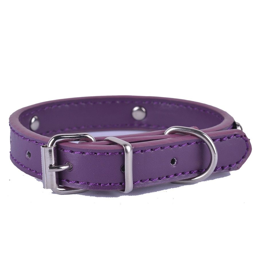 Violet-Xs -Collier En Cuir Pu Pour Chien, Collier Pour Chiot, Disponible En Noir, Rouge, Rose, Rose, Violet, Boucle Ajustable, Dispo