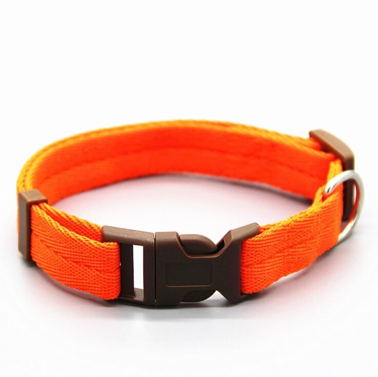 Orange-S -Collier En Nylon Pour Animal De Compagnie, 7 Couleurs Réglables, Accessoire Pour Chien Et Chat, Accessoire Offre Spéciale