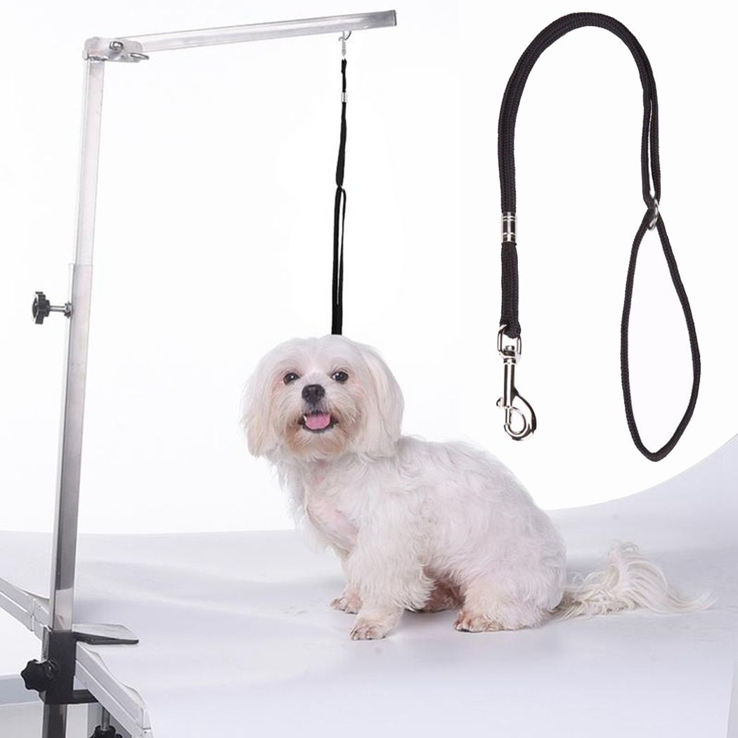 Black-M -Laisse En Nylon Pour Chien, 1 Pièce, Durable, Boucle De Verrouillage, Corde À Clip, Harnais Pour Chiens, Toilettage, Bras D