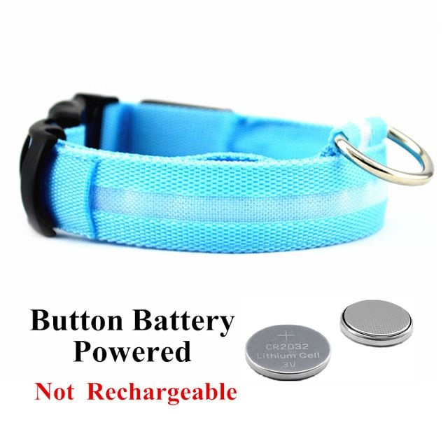 Battery-Blue-S(35-43cm) -Collier Lumineux Pour Chien Et Chat, Rechargeable Par Usb, Led, Clignotant, Pour L'extérieur, Anti Perte