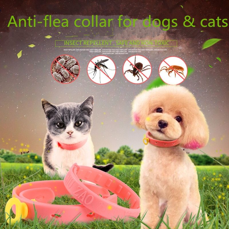 For Dogs-Adjustable -Collier Anti Puces Pour Animaux De Compagnie, 1 Pièces, Anti Tiques, Pour Chiens Et Chats, Élimination Rapide D