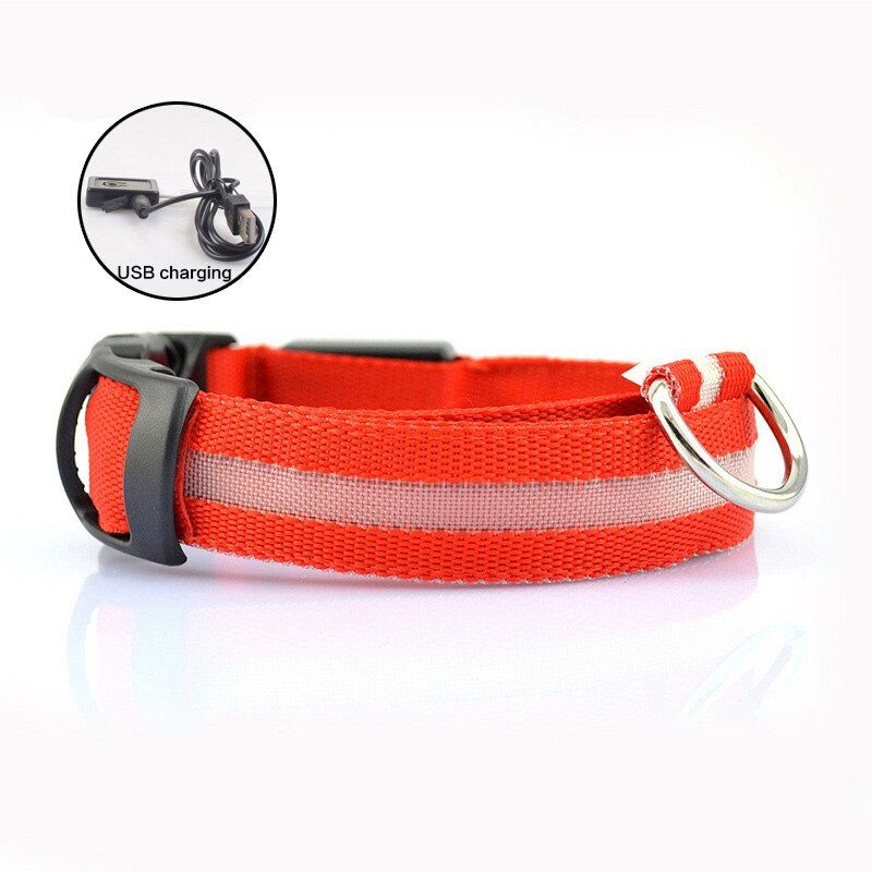 Red Usb Charging-Xs -Collier En Nylon À Led Pour Animaux De Compagnie, Clignotant, Brille Dans La Nuit, Laisse Lumineuse Pour Chiens
