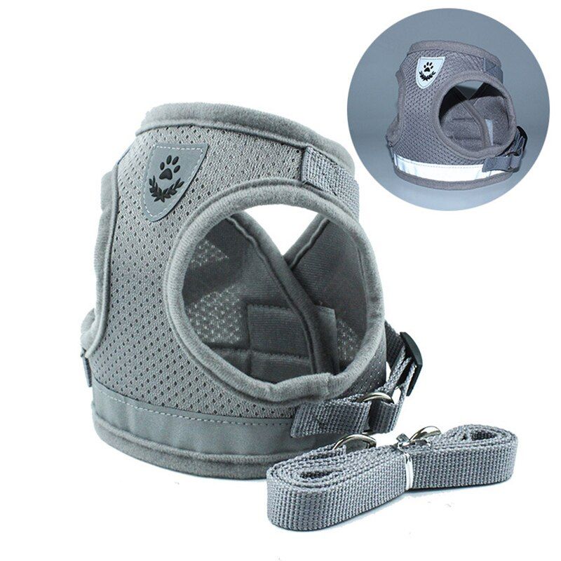 Gray-M -Ensemble De Harnais Et De Laisse Pour Chien Et Chat, Réglables, En Maille Respirante Et Réfléchissante, Fournitures Pour Ani