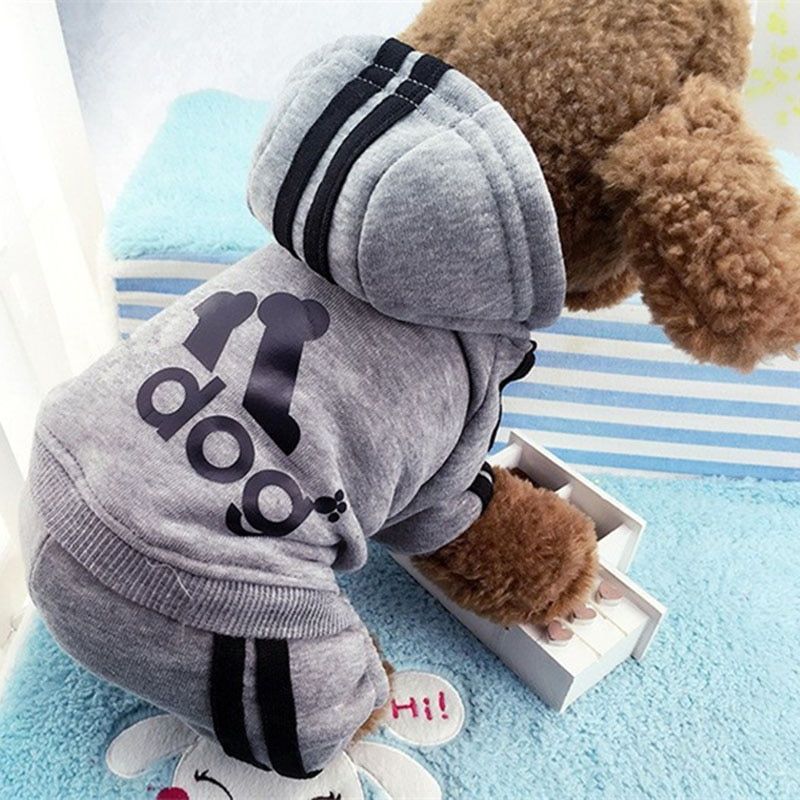 Gray-Xs -Mode Chat Vêtements Pour Chats Hiver Chaud Confortable Chat Vêtements Pour Animaux Chaton Tenue Kedi Gatto Manteau À Capuch