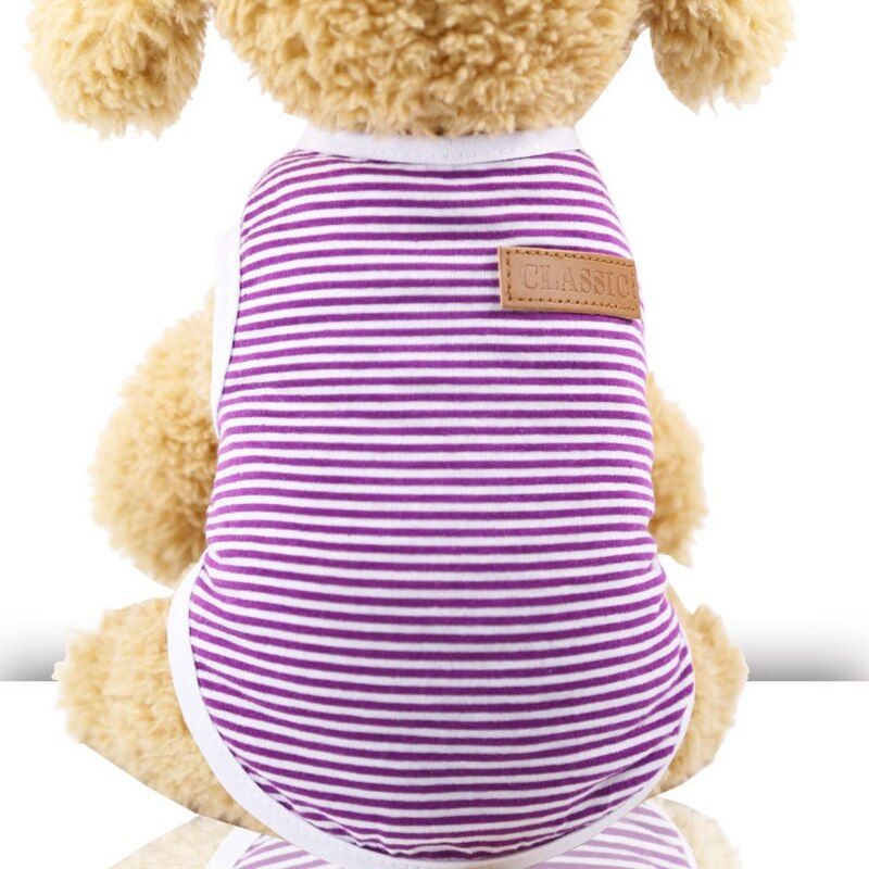 Purple-Xl -Vêtements De Sport Pour Chat Animal Domestique, T Shirt D'été, Chaton, Manteau Chat, Chiot, Chien Et Chat, Collection