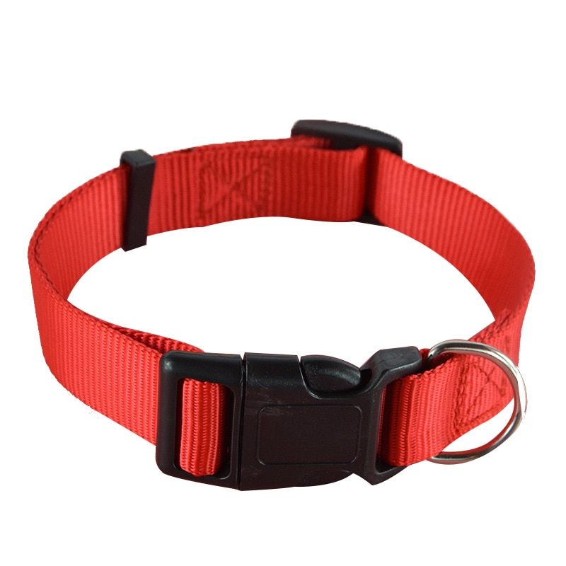 Red Collar-Xs -Collier De Chien De Couleur Unie En Nylon  Offre Spéciale, Ajustable, Pour Animal Domestique, Chiot Chat, Laisse, En