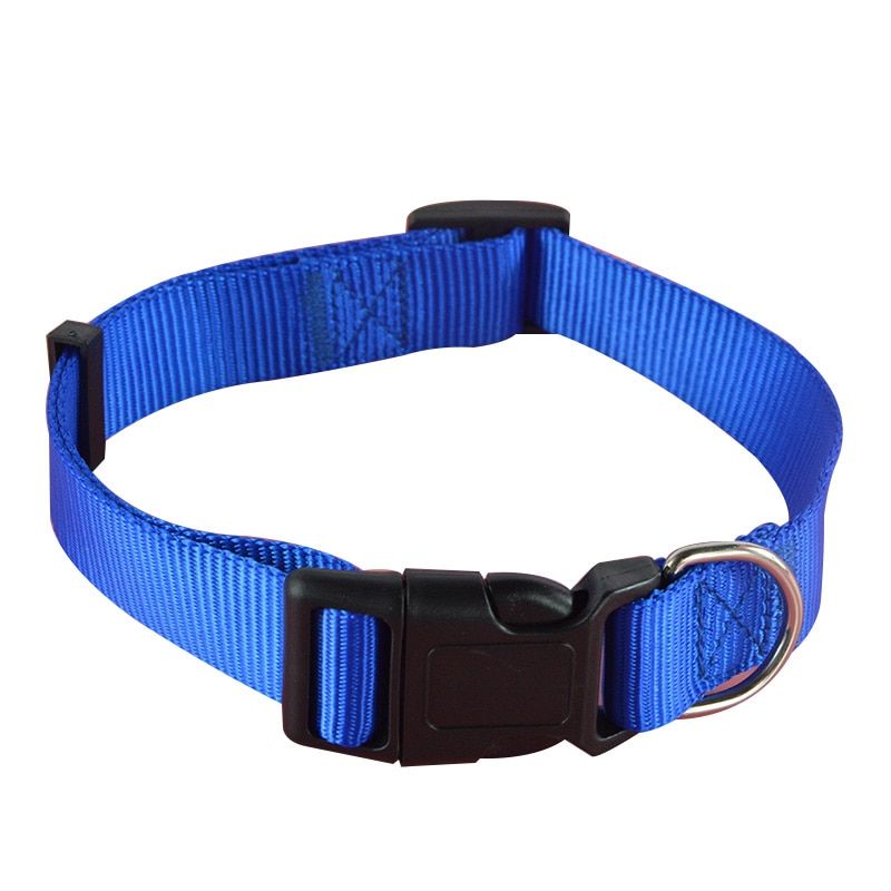 Blue Collar-S -Collier De Chien De Couleur Unie En Nylon  Offre Spéciale, Ajustable, Pour Animal Domestique, Chiot Chat, Laisse, En