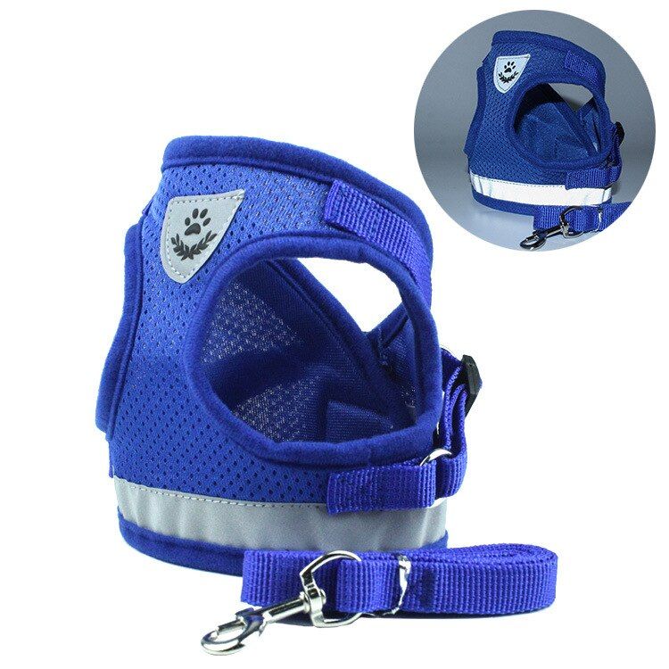 Blue Plus-M -Gilet Harnais Réfléchissant Et Laisse Pour Chiens Et Chats, Respirant, Pour Chihuahua Chiot, Petit Et Moyen Chien